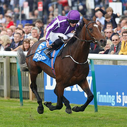 Kew Gardens And Ryan Moore Win St Leger At Doncaster